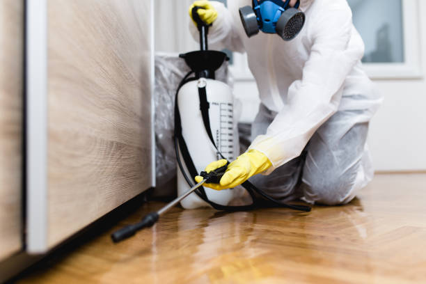 Best Affordable Pest Control Services  in Walcott, IA