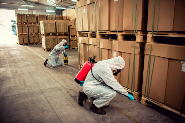 Best Residential Pest Control  in Walcott, IA