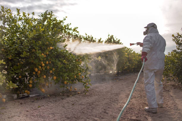 Best Exterminator Services  in Walcott, IA