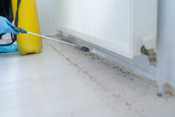Best Pest Removal Services  in Walcott, IA